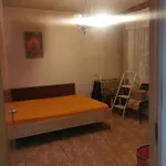 Spinis Bucareste